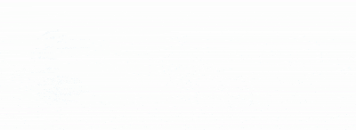 logo animation