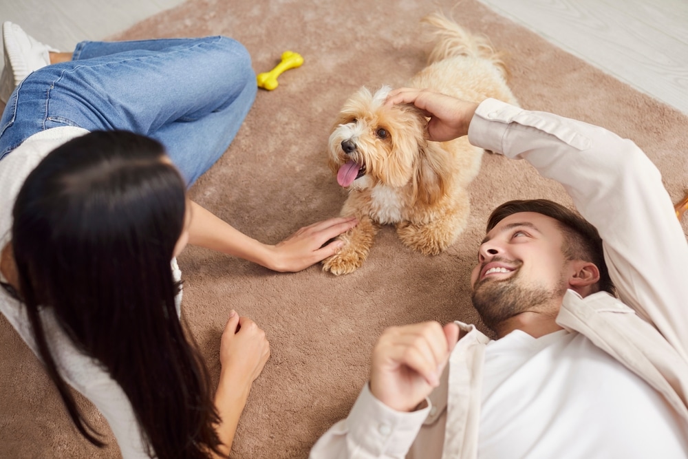Young couple playing on the floor with their dog after spraying Clean Habits pet cleaner